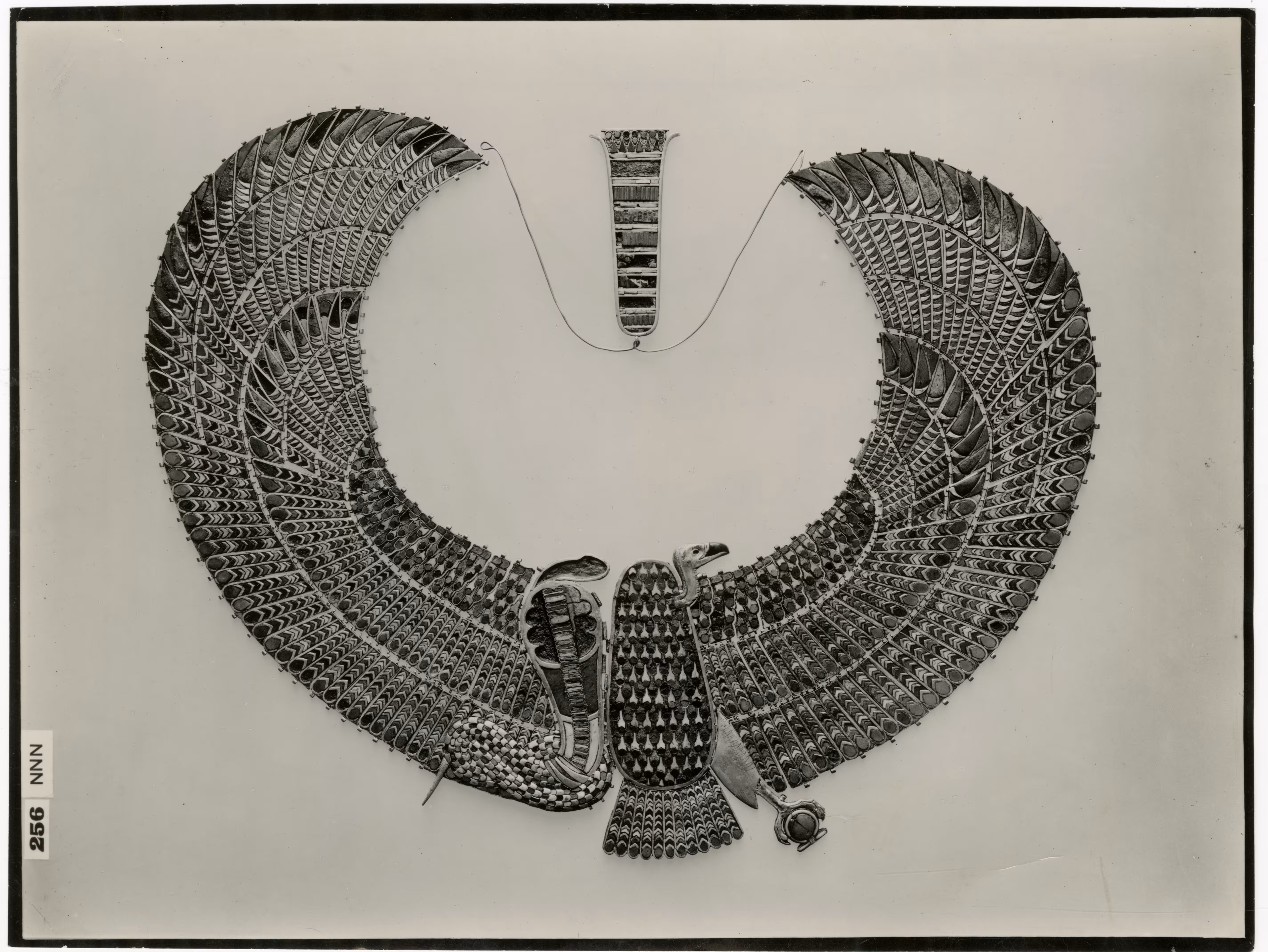 Image of photographic print of cobra and vulture collar