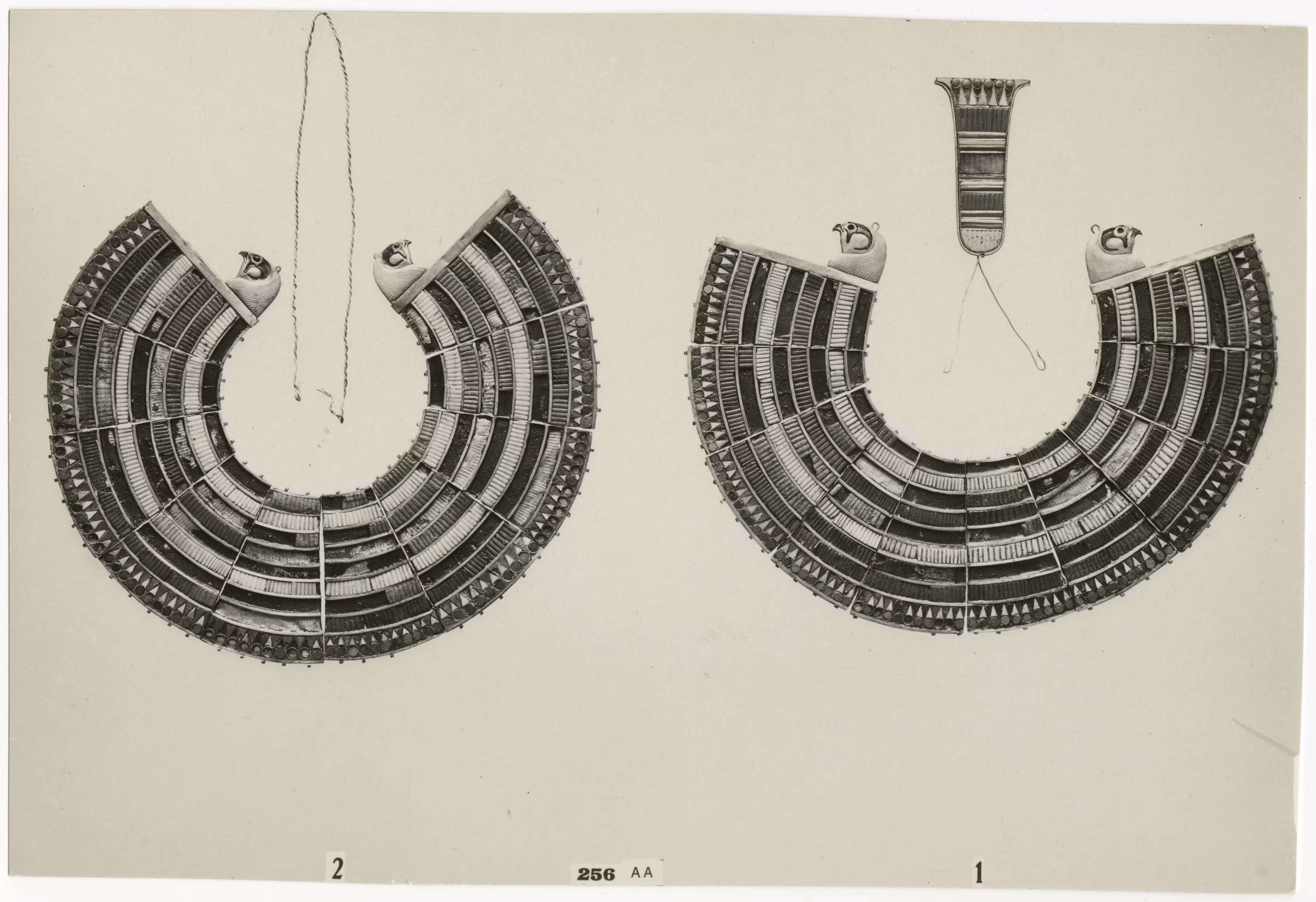 image of photographic print of two collars in object card