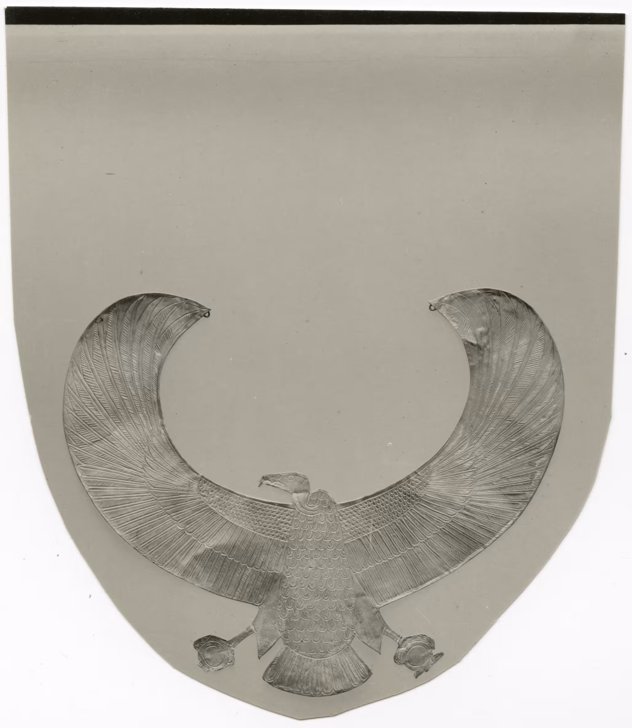 image of photographic print of gold vulture collar in object card