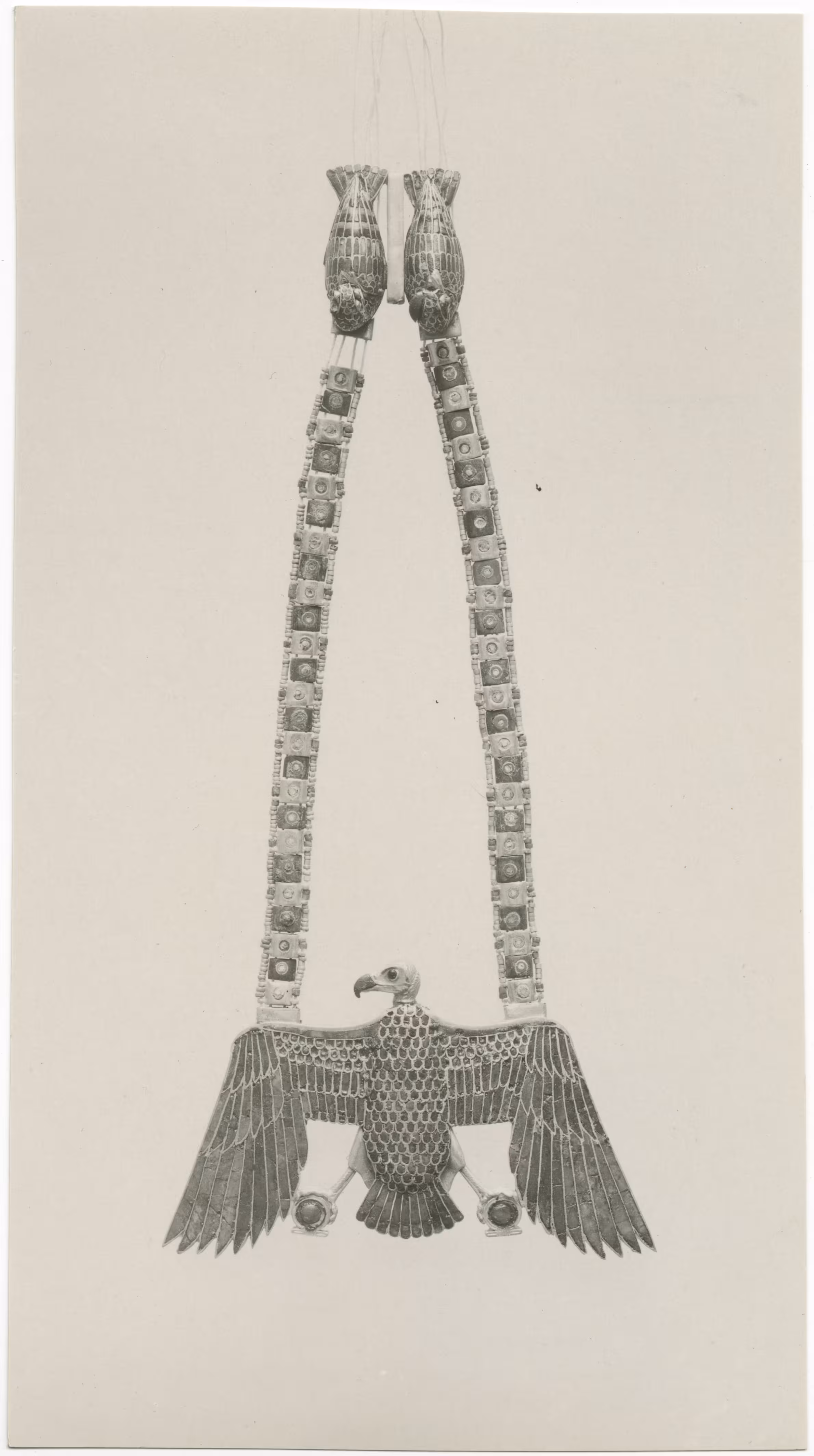 image of photographic print of vulture pectoral in object card