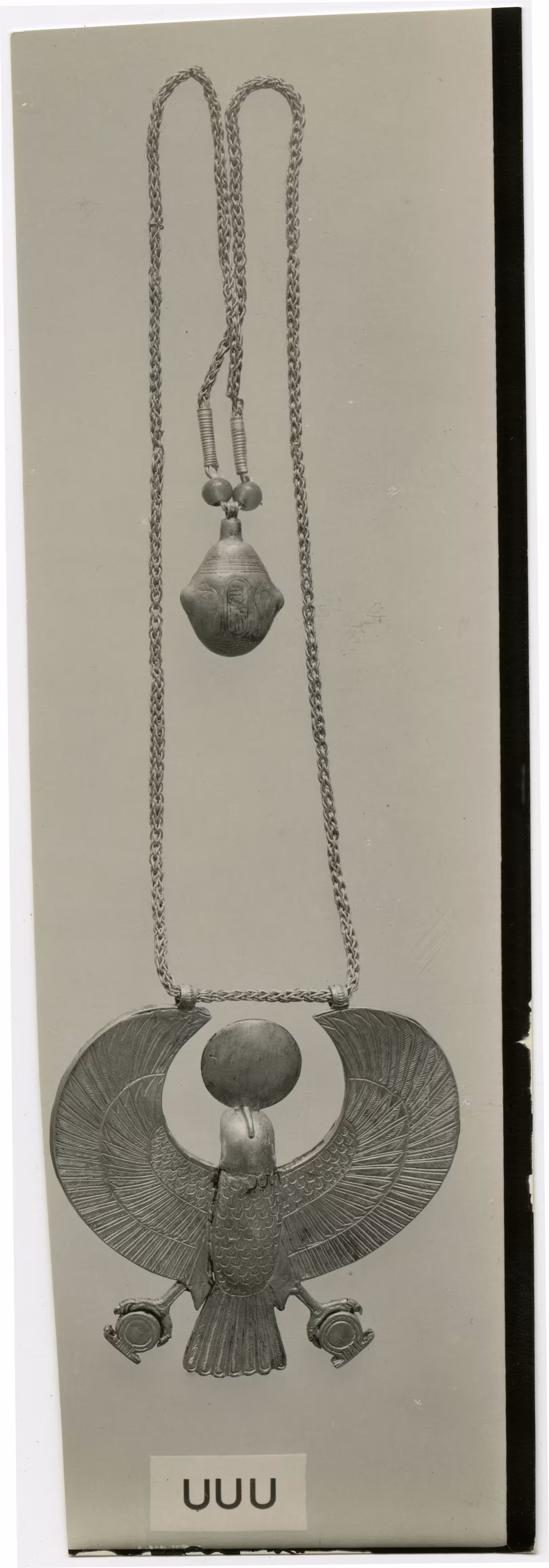 image of photographic print of hawk pectoral in object card