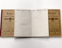 staged image showing a selection of diaries