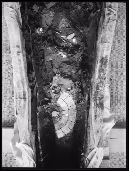 Image of middle part of king's mummy within coffin