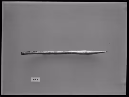 Image of negative of thin cylindrical object (tail)