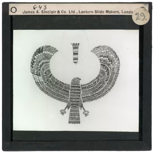 Image of lantern slide of falcon collar