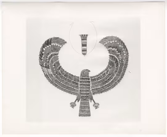 Image of print of falcon collar