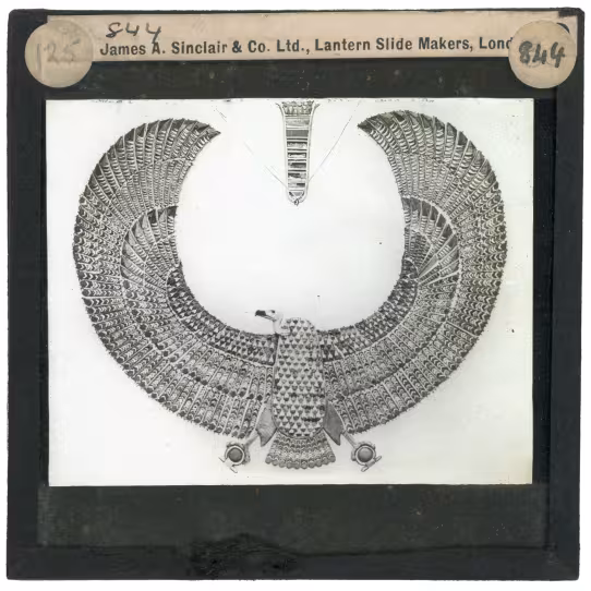 Image of lantern slide of vulture collar