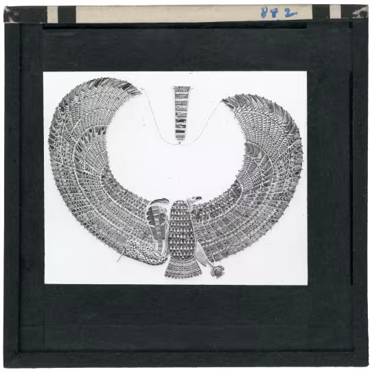 Image of lantern slide of cobra and vulture collar