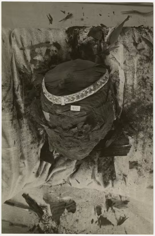 image of photographic print of king's head in object card