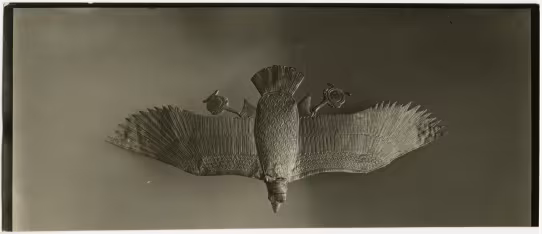 image of photographic print of vulture from diadem in object card