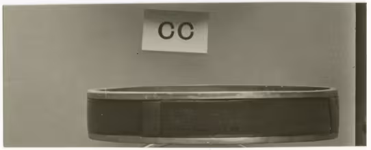 image of photographic print of gold circlet in object card