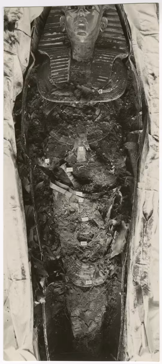 image of photographic print of king's mummy within coffin in object card