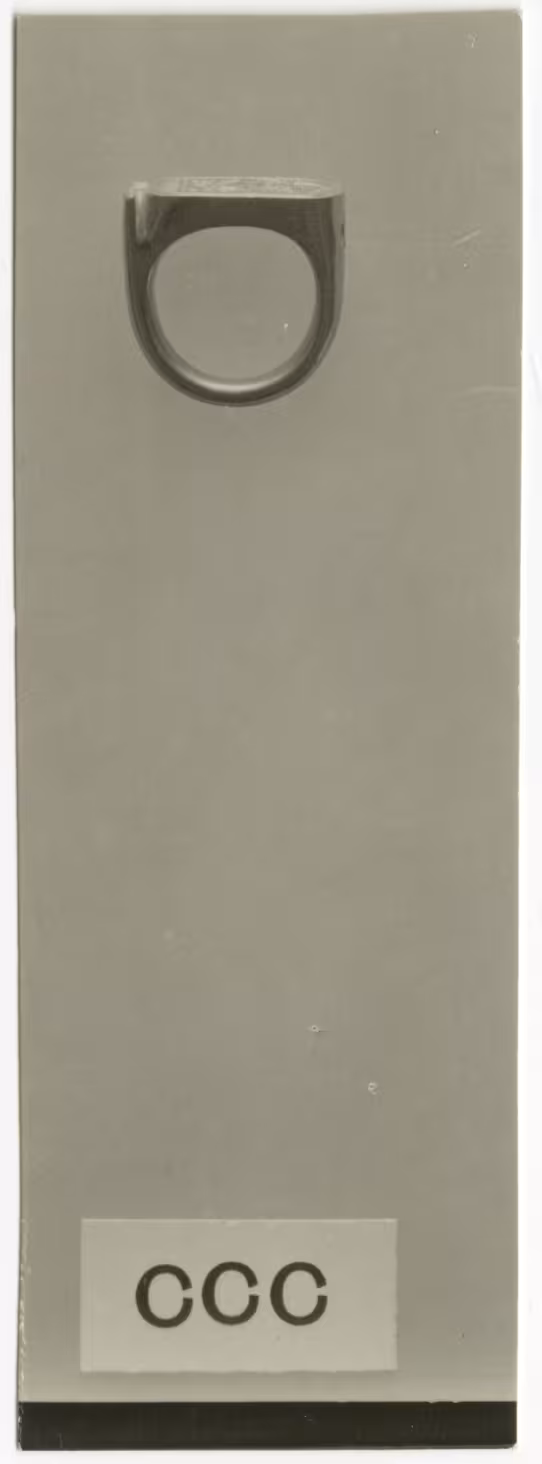 image of photographic print of ring in object card