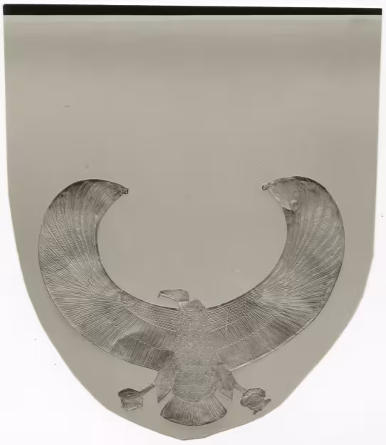 image of photographic print of gold vulture collar in object card