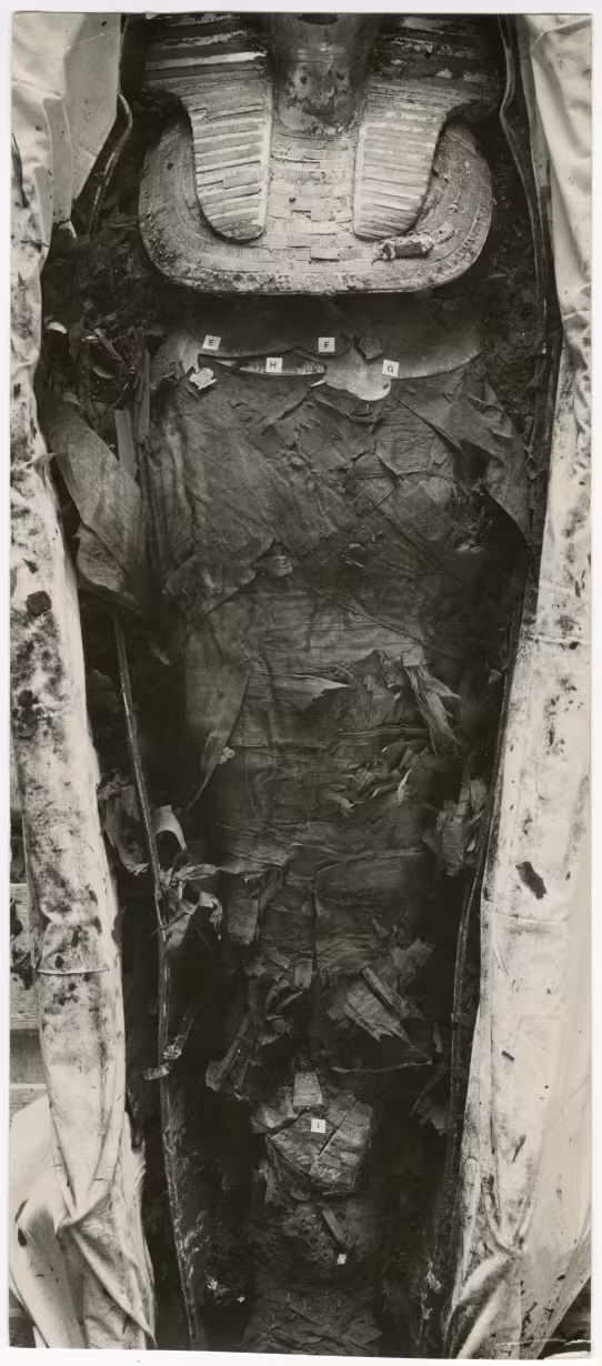 image of photographic print of king's mummy within coffin in object card