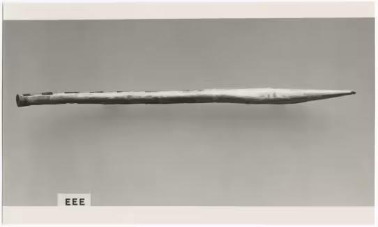 image of photographic print of tail in object card