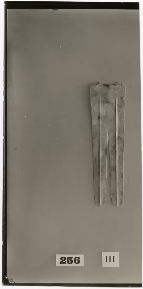 image of photographic print of double-plume amulet in object card