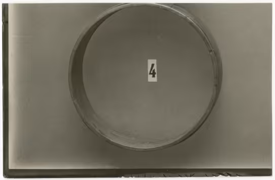 image of photographic print of gold circlet in object card