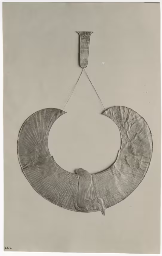 image of photographic print of gold cobra collar in object card