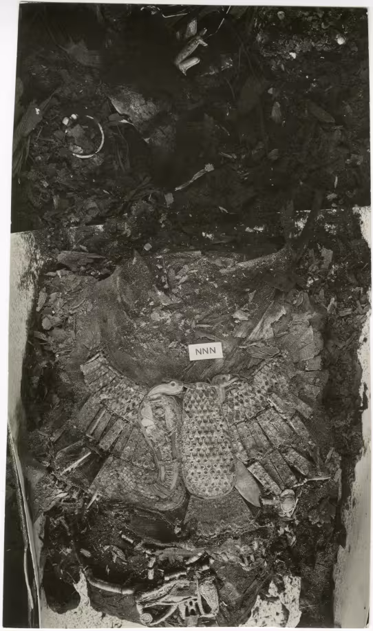 image of photographic print of king's mummy within coffin in object card