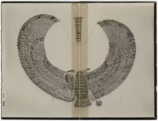 image of photographic print of collar with vulture and cobra in object card
