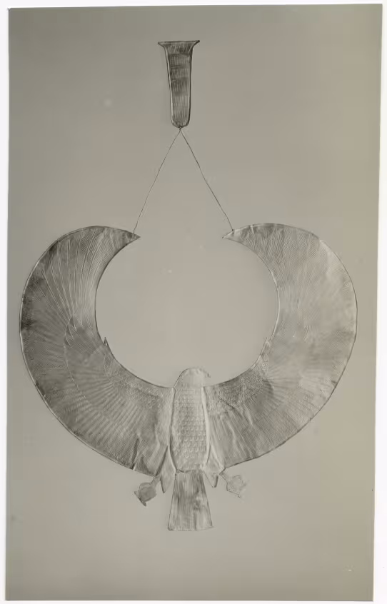 image of photographic print of gold hawk collar in object card