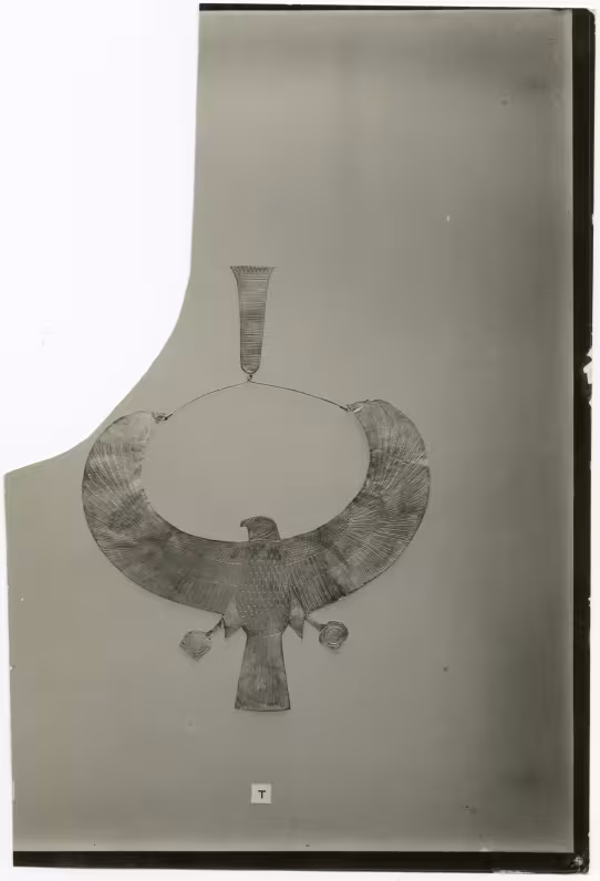 image of photographic print of gold hawk collar in object card