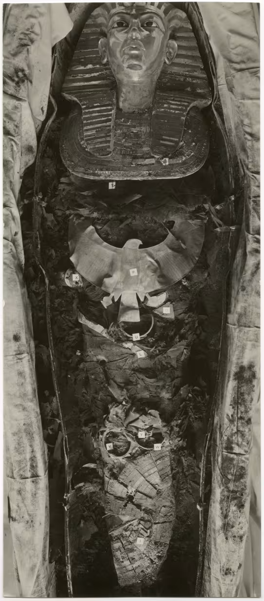 image of photographic print of king's mummy within coffin in object card