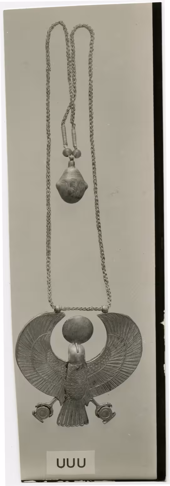 image of photographic print of hawk pectoral in object card