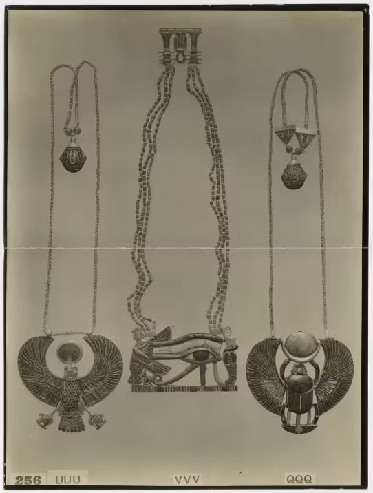 image of photographic print of pectorals in object card