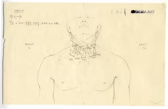 objects found on Tutankhamun's body: neck