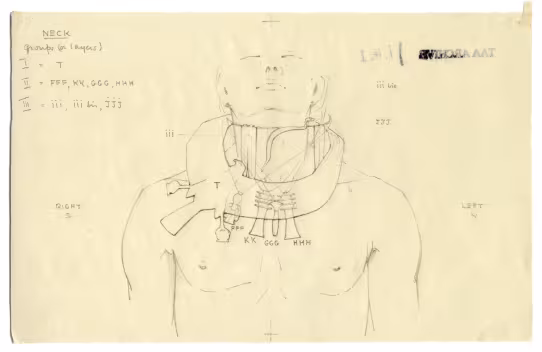 autopsy drawing of objects found on Tutankhamun's body specifically his neck