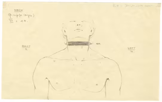 objects found on Tutankhamun's body: neck