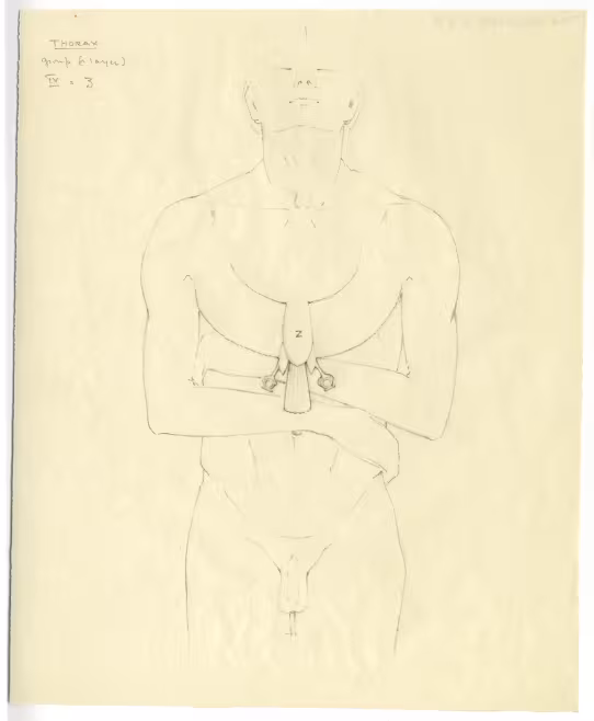 objects found on Tutankhamun's body: thorax