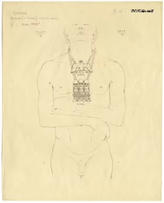 objects found on Tutankhamun's body: thorax