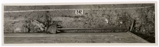 Photograph of objects