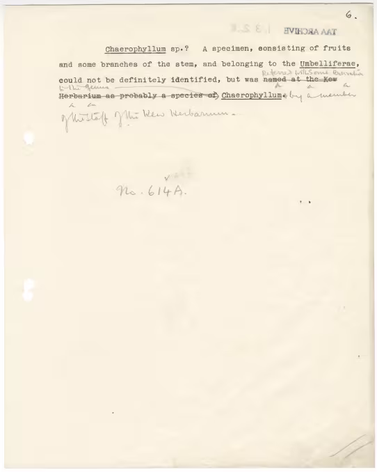 Typed notes on paper 