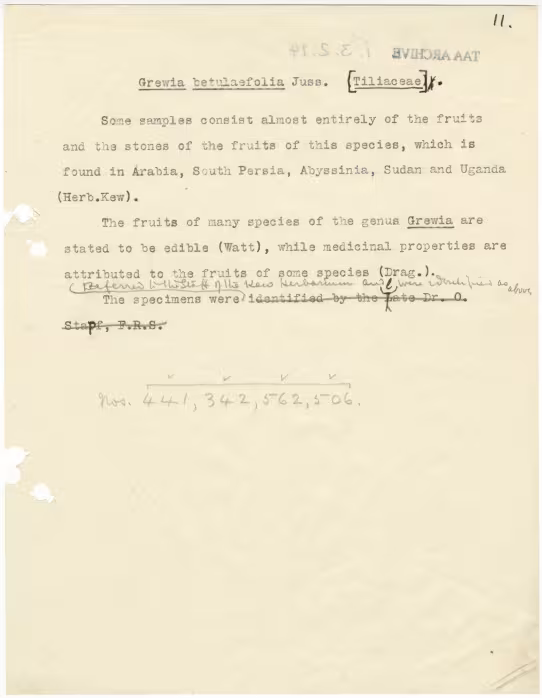 Typed notes on paper 