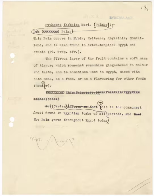 Typed notes on paper 