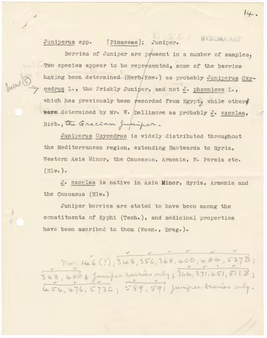 Typed notes on paper 