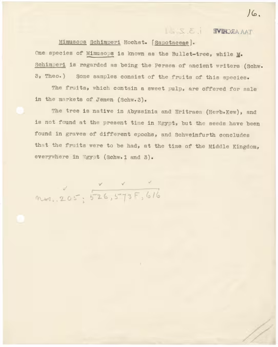 Typed notes on paper 