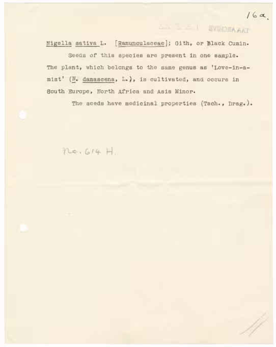 Typed notes on paper 