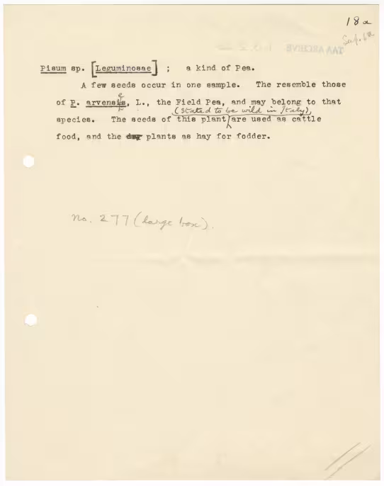Typed notes on paper 