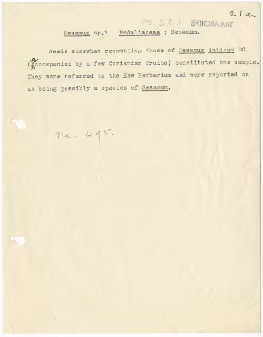 Typed notes on paper 