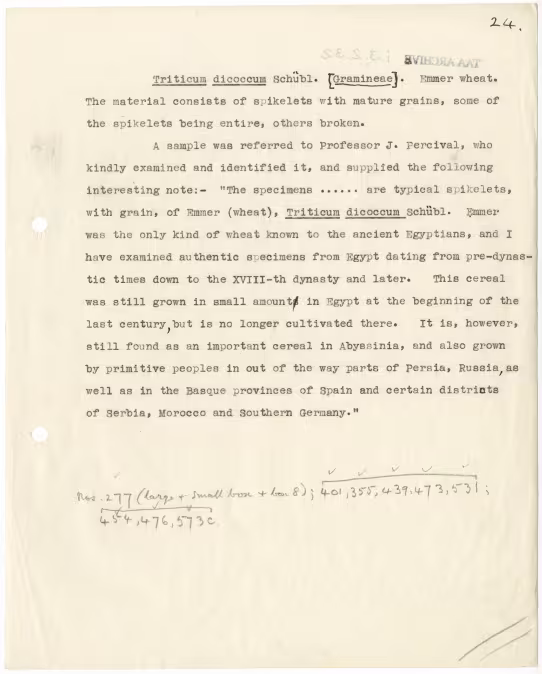 Typed notes on paper 