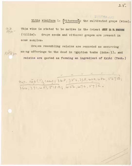 Typed notes on paper 