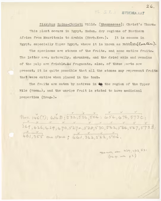 Typed notes on paper 