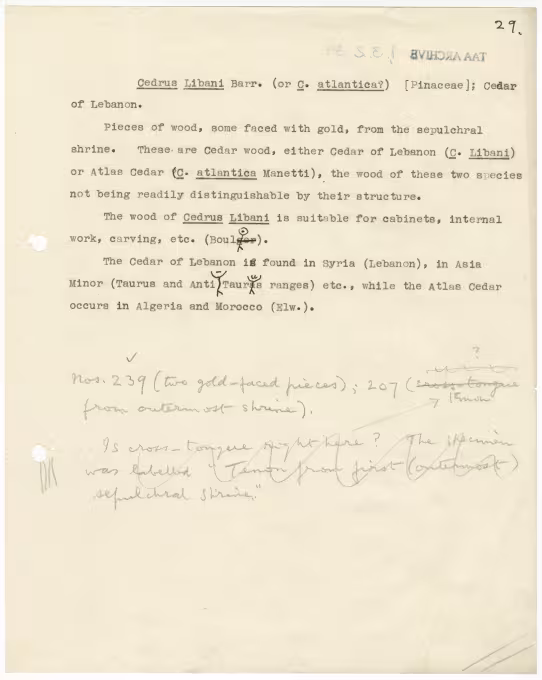 Typed notes on paper 