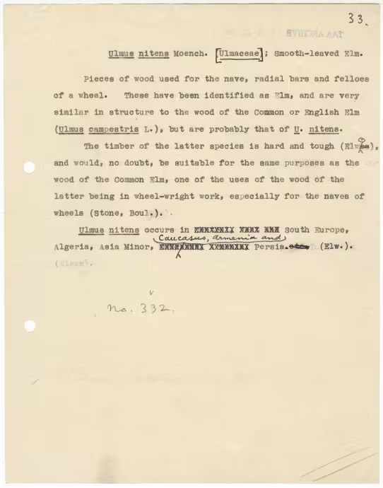 Typed notes on paper 