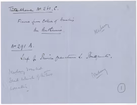 Handwritten notes on paper